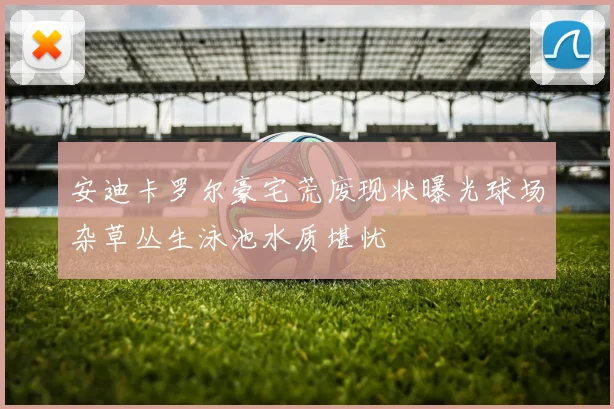 安迪卡罗尔豪宅荒废现状曝光球场杂草丛生泳池水质堪忧